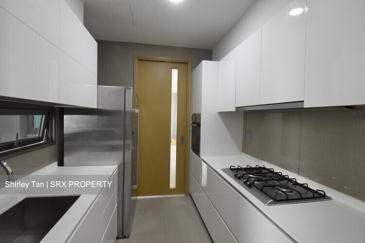 Skyline Residences (D4), Condominium #304479701
